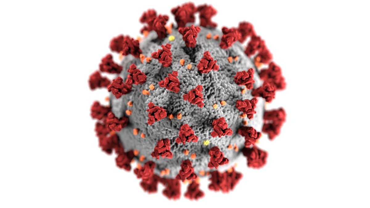 A coronavirus cell