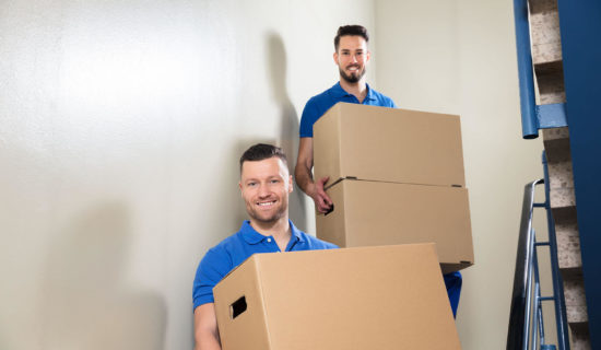 Movers carrying boxes