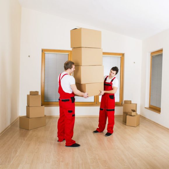 Professional movers will work hard to complete your moving and auto transport without a hitch