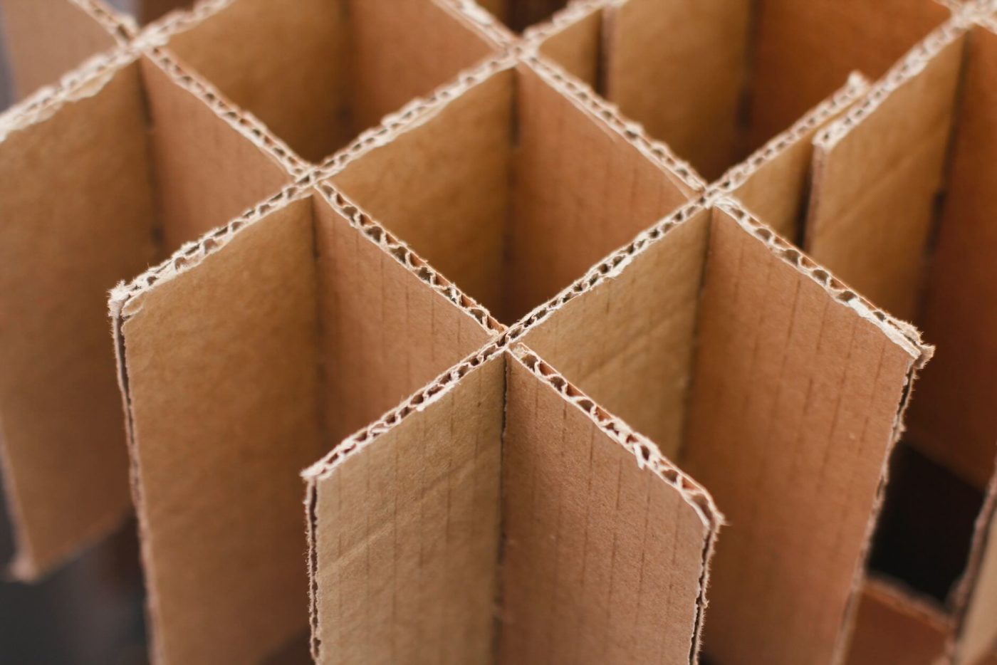 Cardboard compartments pictured up close