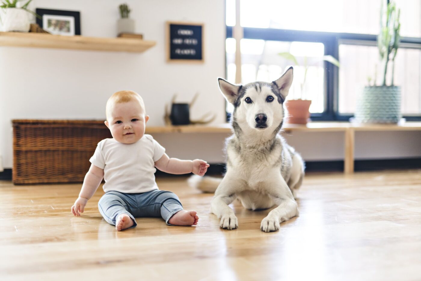 Child and a dog sitting on the floor