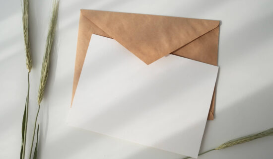 An envelope, paper, and a plant on a white surface