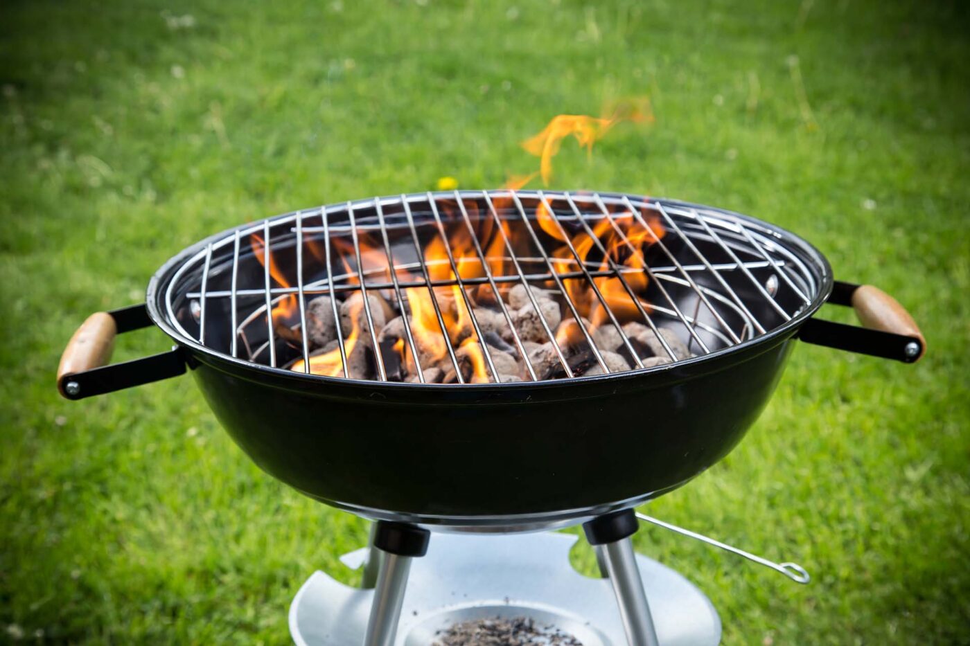 grill in the garden